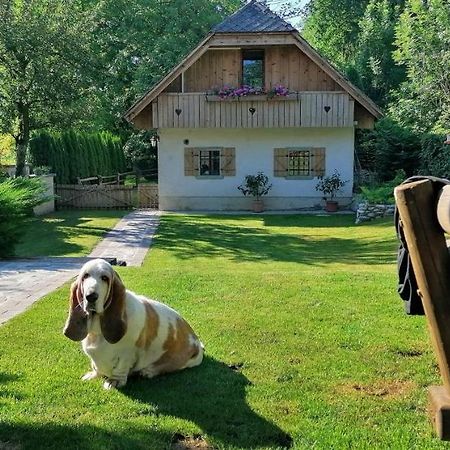 Vila Jana Радовлица Экстерьер фото